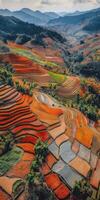 Colorful terraced fields in a mountain region photo