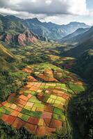 Stunning terraced fields in mountains photo