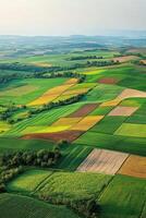 Vibrant patchwork fields in rural landscape photo