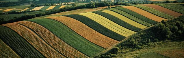 Hills display bright farming patterns photo