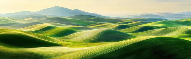 Rolling green hills in tranquil landscape photo
