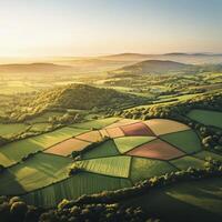 Rolling hills and fields bask in golden light photo