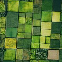 Spring's lush green farmland aerial view photo