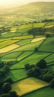 Sunset over green fields and hills photo