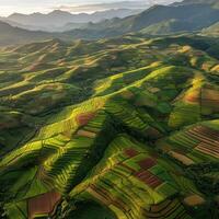 Lush terraced fields in mountainous landscape photo