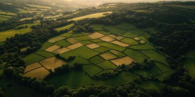Vast fields and landscapes at dusk photo