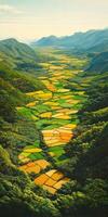 Beautiful valley landscape with rice fields photo