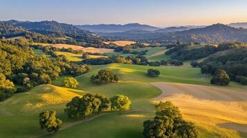 Rolling hills and golden fields at sunrise photo