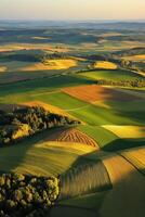 Vibrant fields at sunset photo
