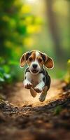 Beagle puppy joyfully runs through the forest photo