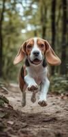 Beagle puppy joyfully running through forest photo