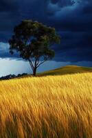 Golden grass swaying under dark stormy skies photo