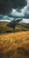 Lonely tree on hilly clouds photo