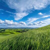 A green field with grass and clouds photo
