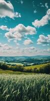 A beautiful view of a field with wheat and clouds photo