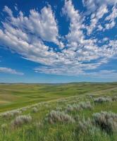 A grassy plain with a blue sky and clouds photo