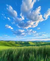 A beautiful view of a field with green grass photo