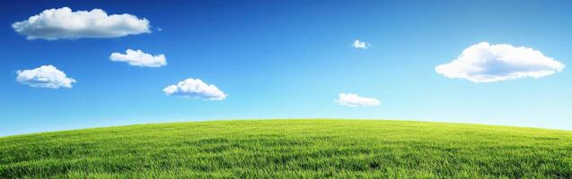 Green grass and blue sky background photo