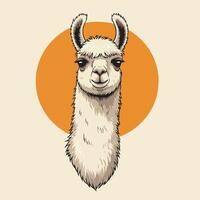 Llama Head Close-up Smiling Illustration with Circle Backdrop vector