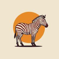 Zebra Standing Calmly in Front of an Orange Circle Background vector