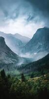 A mountain valley with trees and fog photo
