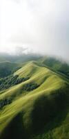A green hillside with trees and grass photo