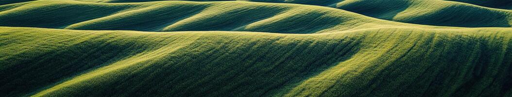 An aerial view of green hills with waves photo