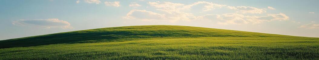 A grassy hill with a blue sky and clouds photo