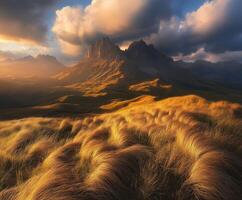 A beautiful landscape with tall grass and mountains photo