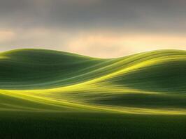 The grass is green photo