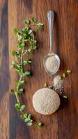 Harvesting dried psyllium seeds and fresh leaves in nature photo