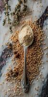 Psyllium husk and seeds on a marble surface photo