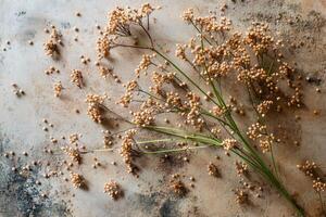 Psyllium seeds spread on a textured surface photo