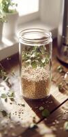 Psyllium seeds in a glass jar with green leaves photo