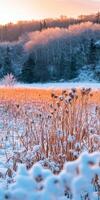 Winter landscape with snow-covered fields at sunset photo