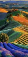 Rolling hills display vibrant colors at sunset photo