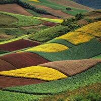 Vibrant agricultural landscape showcases colorful fields photo
