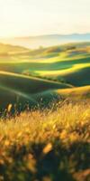 Rolling hills bathed in golden sunlight during sunset photo