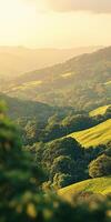 Rolling green hills under golden sunlight in the afternoon photo