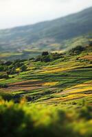 Vibrant countryside landscape with rolling hills photo