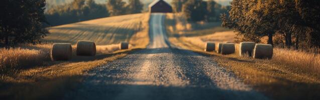Rolling country road leads to a rustic barn photo