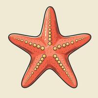 Illustration of a Red Starfish with Detailed Texture and Markings vector