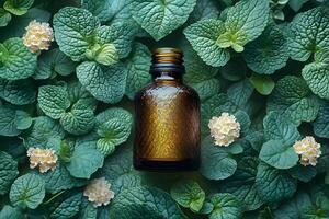 Essential Oil Bottle on Fresh Mint Leaves - Natural Aromatherapy Concept photo