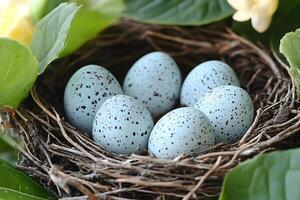 Spring Nest with Speckled Eggs Among Lush Greenery Perfect for Easter and Nature Themes photo
