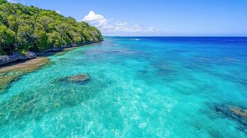 Stunning view of clear turquoise ocean and lush coastline photo