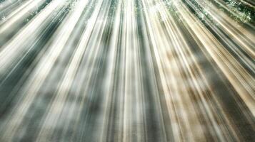 Ethereal light patterns create sense of depth and tranquility photo