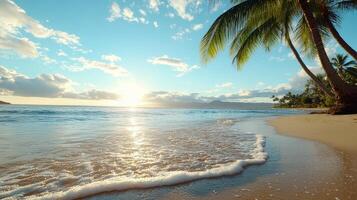 serene beach scene with palm trees and beautiful sunset in Hawaii photo