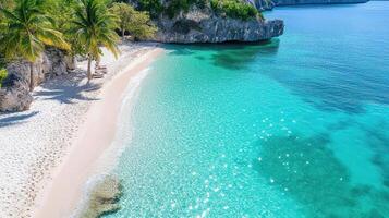 A beach with clear water and palm trees photo