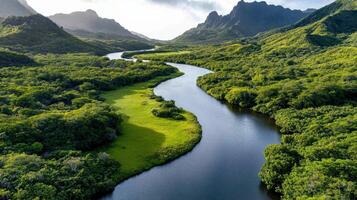 scenic view of winding river through lush green valley landscape photo