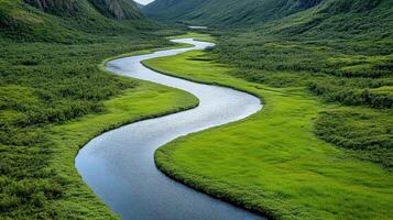 scenic view of winding river flowing through lush green valley photo